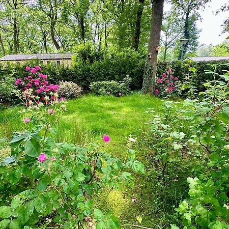 Vakantie Veluwe Wageningen Zewnętrze zdjęcie