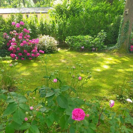 Vakantie Veluwe Wageningen Zewnętrze zdjęcie
