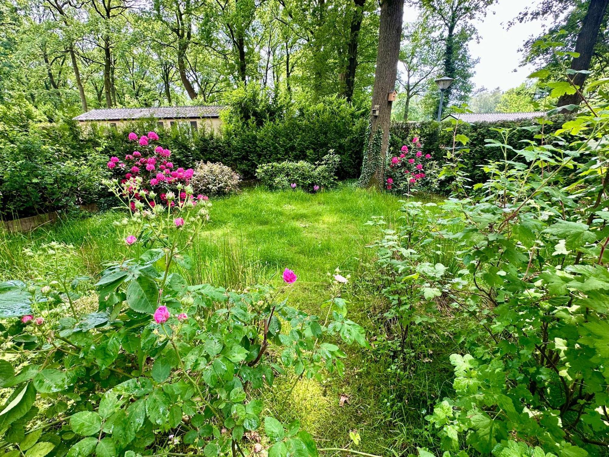 Vakantie Veluwe Wageningen Zewnętrze zdjęcie
