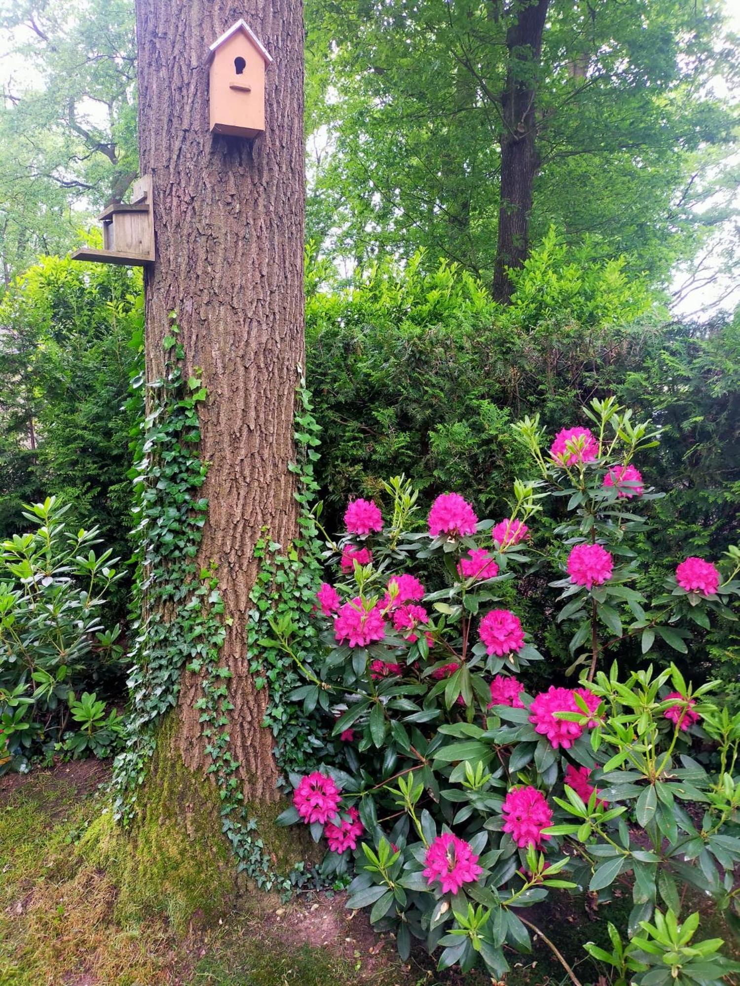Vakantie Veluwe Wageningen Zewnętrze zdjęcie